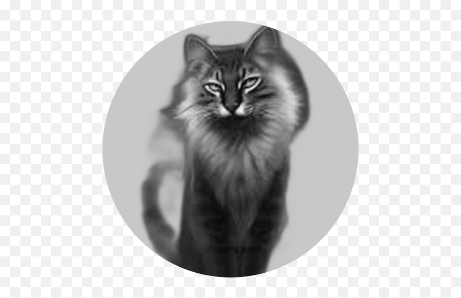 Blackjack - Start Replit Warrior Cats Emoji,Animated Blackjack Emoticon