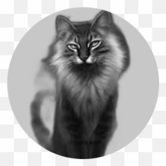 Blackjack - Start Replit Warrior Cats Emoji,Animated Blackjack Emoticon