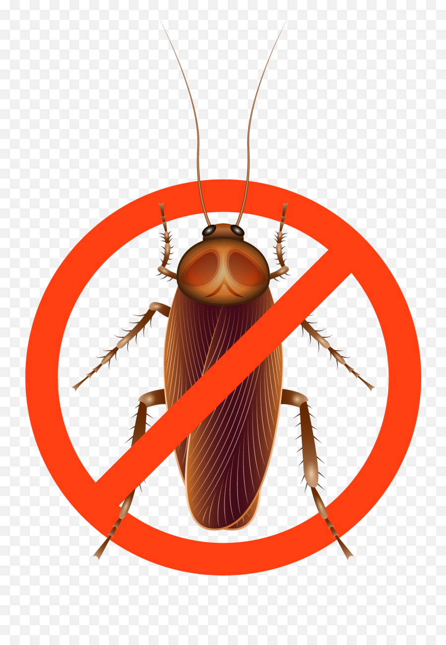 Pest Control Services Fort Myers Pest Control - Parasitism Emoji,Facebook Cockroach Emoticon