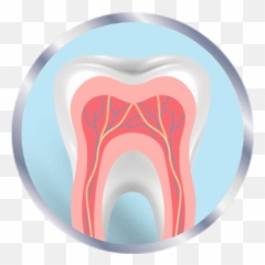 Is It A Cavity Or Sensitive Teeth - Disease Emoji,Tooth Chart With Emotions And Organs Interrelated