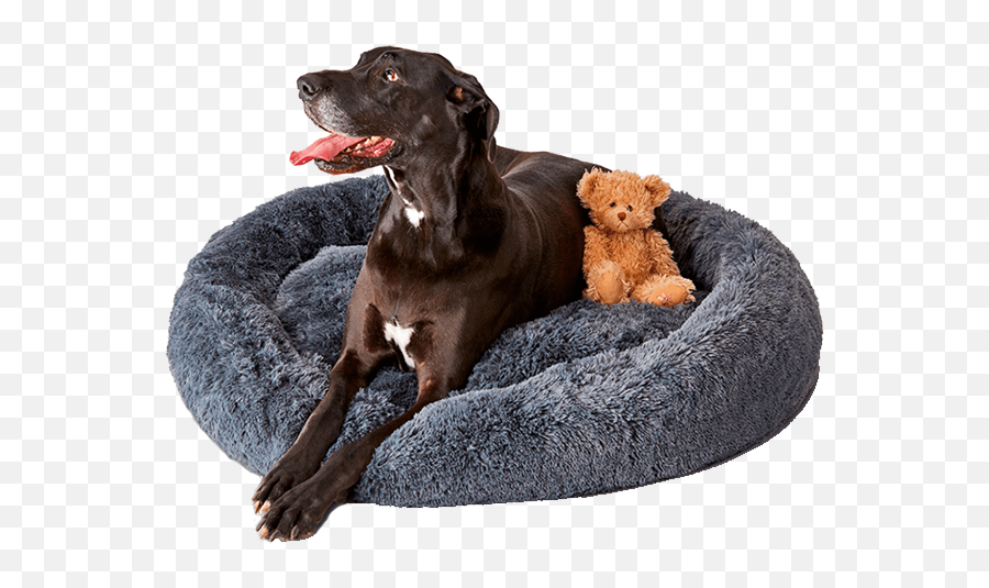 Calming Pet Beds Australia Pupnaps Emoji,Puppy Emojis - 4pce