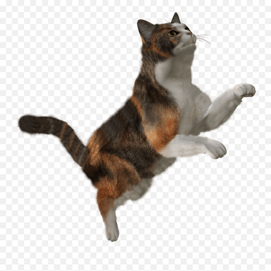 Cute Cat Png Image Download Picture Kitten Emoji,Adorable Cat Emojis