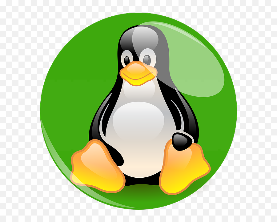 Penguin Cartoon Character - Tux Linux Clipart Full Size Emoji,Penguin Parrot Emoji