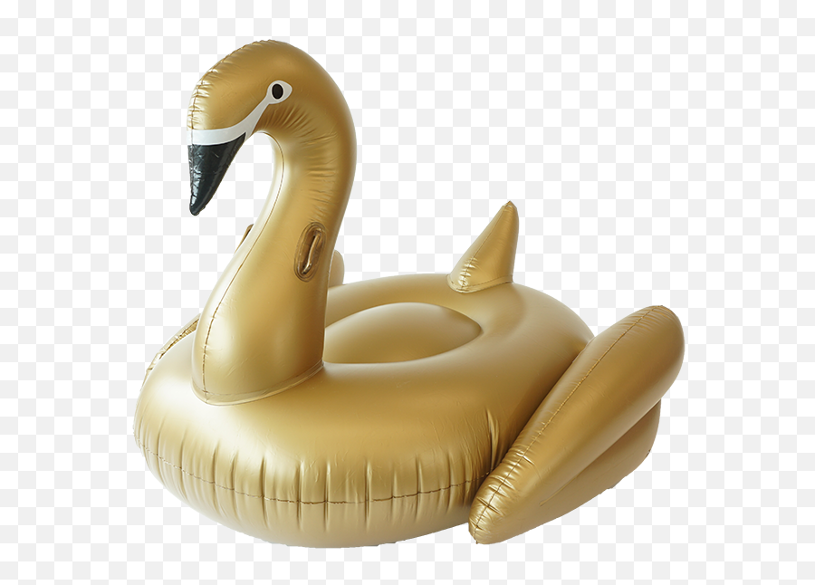 Floaties - Pool Float Png Emoji,Emoji Floaties