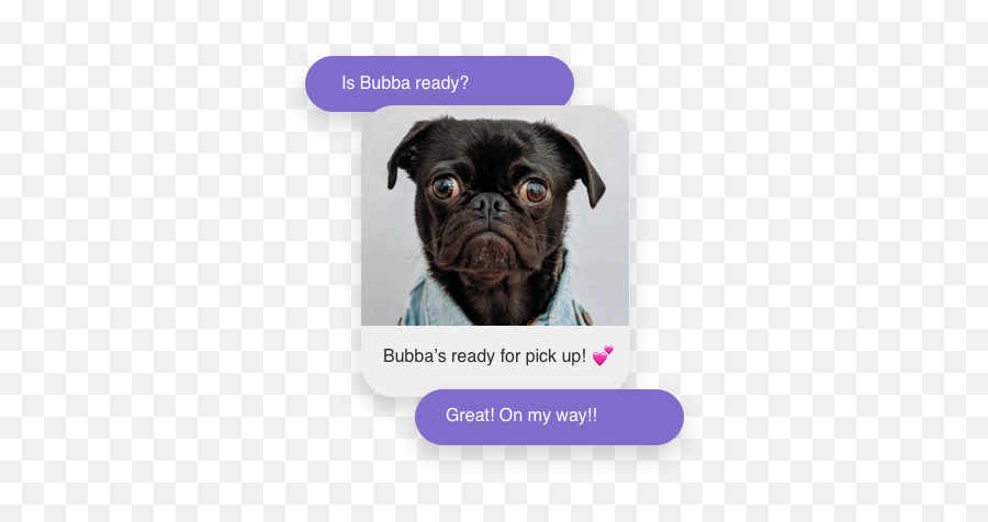 Chatform - Human Dog Emoji,Pug Emojis