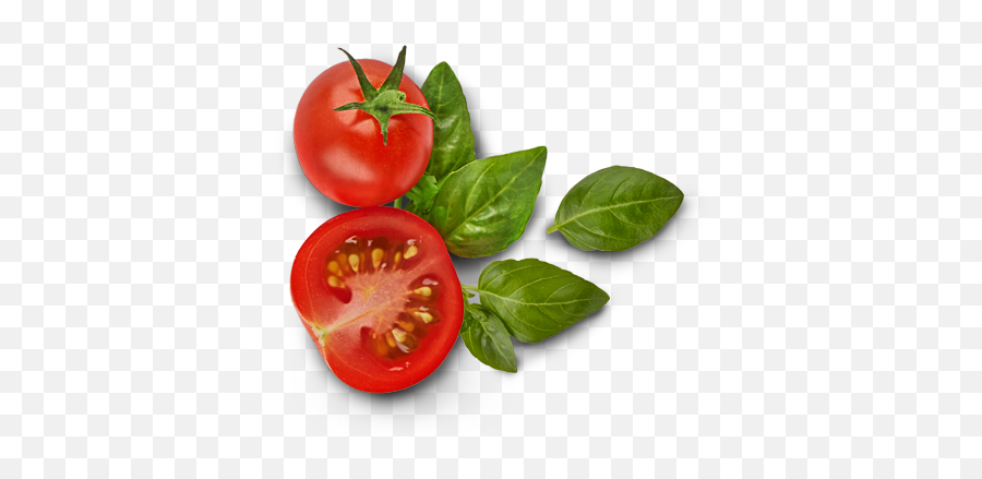 Tomatoes Free Png Transparent Tomato Png Clipart Free - Tomato And Basil Png Emoji,Find The Emoji Tomato
