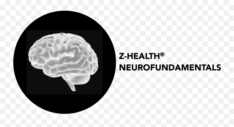 Join Neurofundamentals - Zhealth Warren Street Tube Station Emoji,Professional Players Who Optimize Emotions