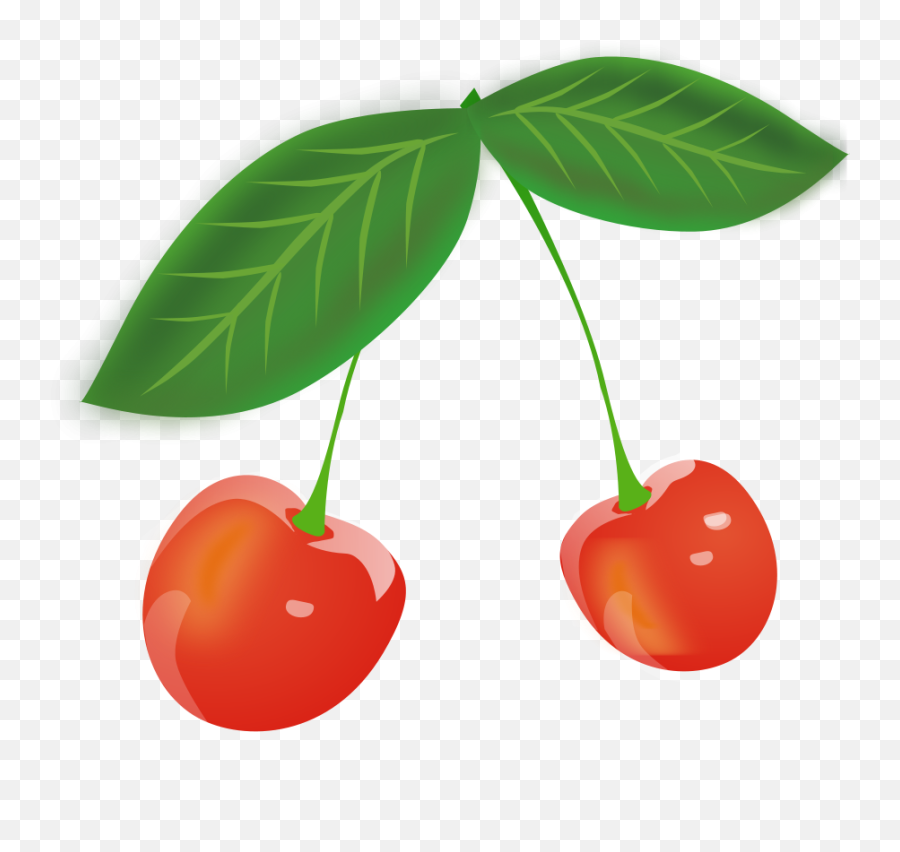 Two Cherries Png Clip Art Image - Cherry Leaves Clip Art Emoji,Cherry Emoji Twitter
