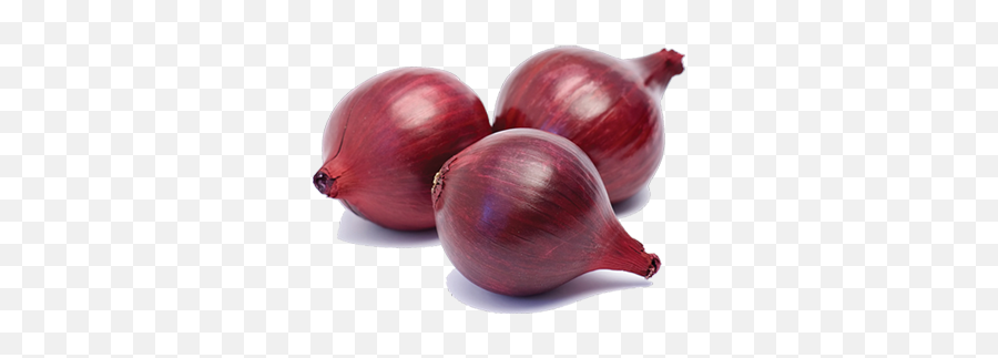 Red Onion Png Transparent Image Png Svg Clip Art For Web - Red Onion Transparent Emoji,Onion Emoji