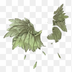Mistral Jamboree 2020 Entries Skins And Accents Flight - Fines Herbes Emoji,Wind Pinwheel Emoji