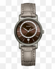 Fake Rolex President Bracelet Archives - Cheap Rolex Replica Rado Diamaster Diamonds Emoji,Fake Emotions Hide