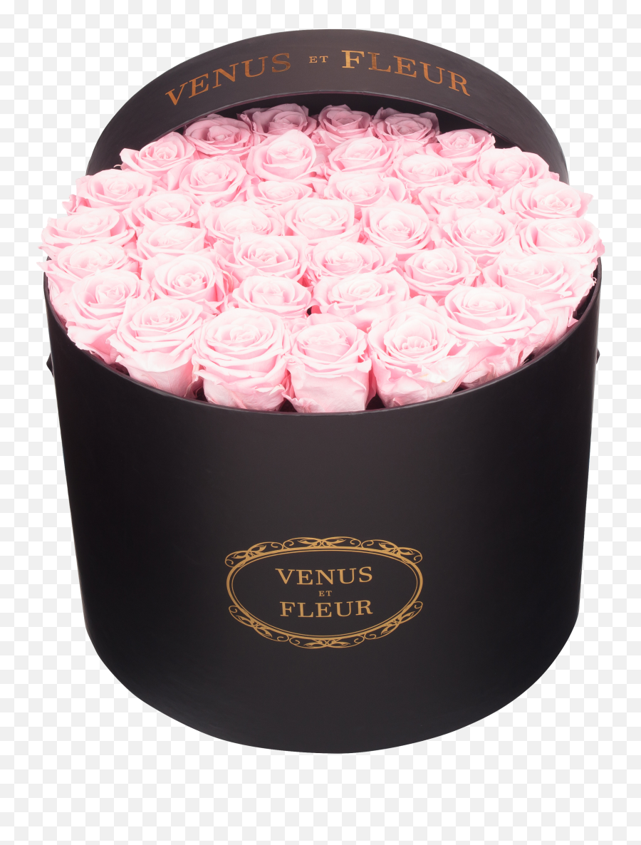 Pink Eternity Rose Arrangements - Girly Emoji,Rose Emotion Photo Settings