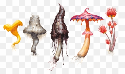 The Wild Beyond The Witchlight - 5etools Emoji,What Emotions Is The Poster Sailor Beware! Loose Talk Can Cost Lives Brings