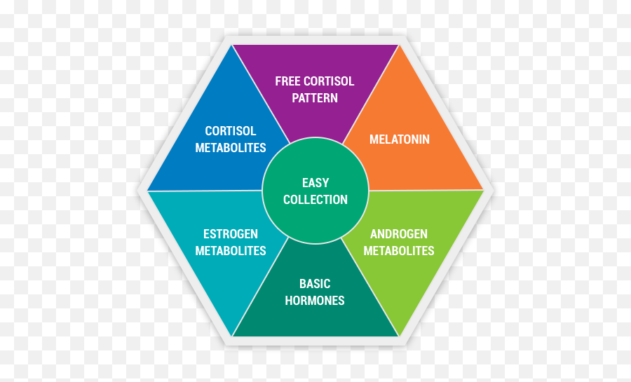 Why All Women Should Take The Dutch Complete Hormone Test Emoji,Female Hormone Cycle Chart Emotions