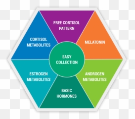 Why All Women Should Take The Dutch Complete Hormone Test Emoji,Female Hormone Cycle Chart Emotions