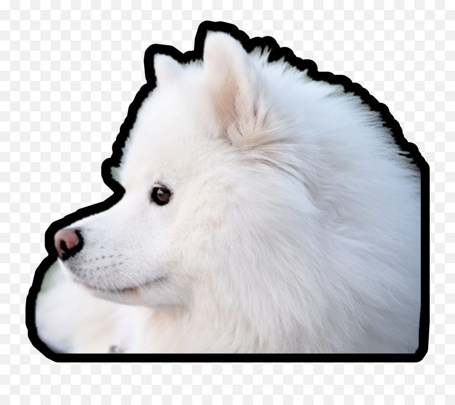 The Most Edited Battlefield Picsart Emoji,Eskimo Emojis