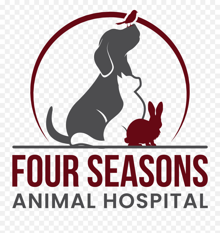 Salamander U0026 Newt Care - Four Seasons Animal Hospital Emoji,Pet Emotions Black Desert