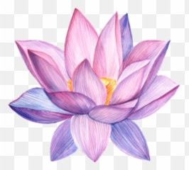 Largest Collection Of Free - Toedit Giglio Stickers Emoji,Lotus Emoji Flower