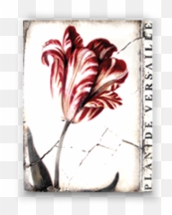 Retired Sid Dickens Tulips Memory Block T - 337 Art Emoji,Kleenex Box Emoji