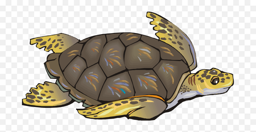 Turtle Png Image And Clipart - Save The Turtle Quotes Emoji,Google Turtle Emoji