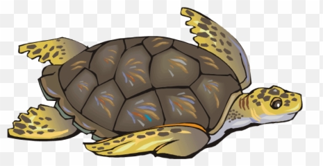 Turtle Png Image And Clipart - Save The Turtle Quotes Emoji,Google Turtle Emoji