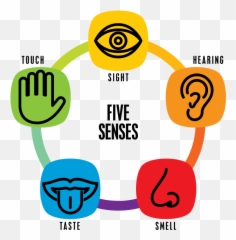 Learning Clipart Disability Learning - Senses Clipart Emoji,Using Emojis Learning Disabilities