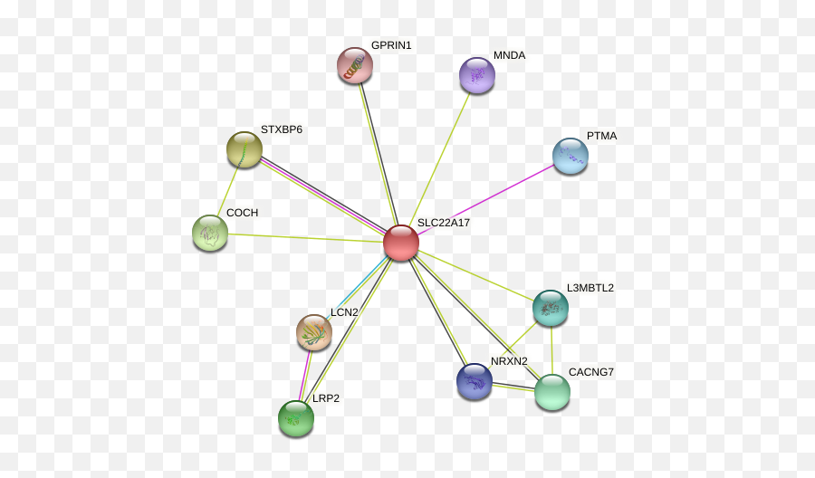 Slc22a17 Protein - Dot Emoji,Brain Emp Patterns Emotions