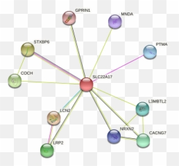 Slc22a17 Protein - Dot Emoji,Brain Emp Patterns Emotions