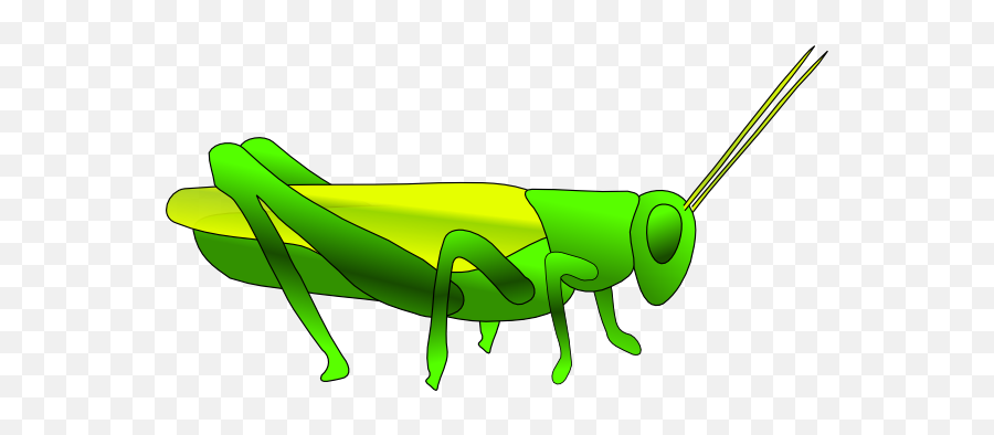 Clipart Insects - Clipartsco Emoji,Grasshopper Emoticon Small Icon