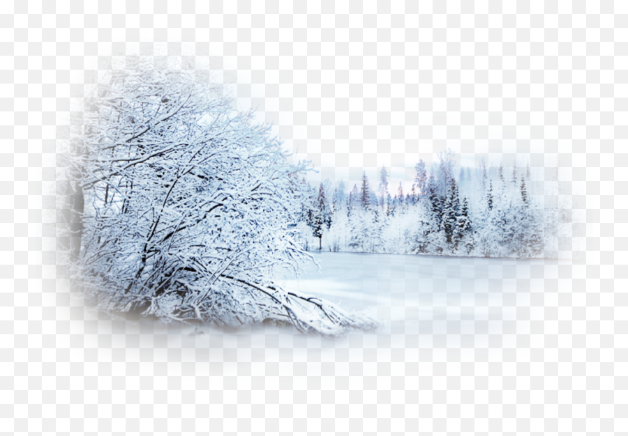 Snow Winter Blizzard Desktop Wallpaper Landscape - Snow Png Snow Tree No Background Emoji,Blizzard Emoji