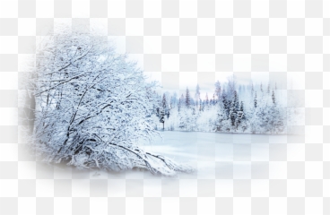Snow Winter Blizzard Desktop Wallpaper Landscape - Snow Png Snow Tree No Background Emoji,Blizzard Emoji