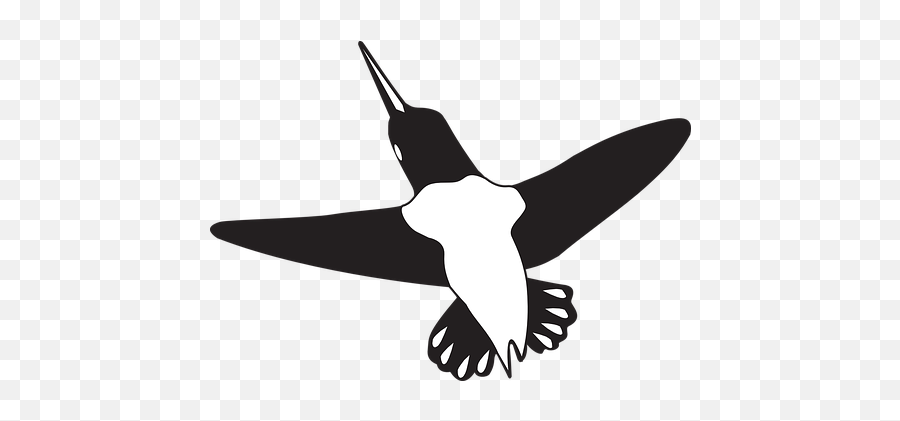 40 Free Humming - Bird U0026 Hummingbird Vectors Pixabay Vector Graphics Emoji,Sun Bird Emoji