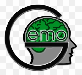 Thinking Inside The Emotional Box - Ein Dissertationsprojekt Language Emoji,Thinking Emotion