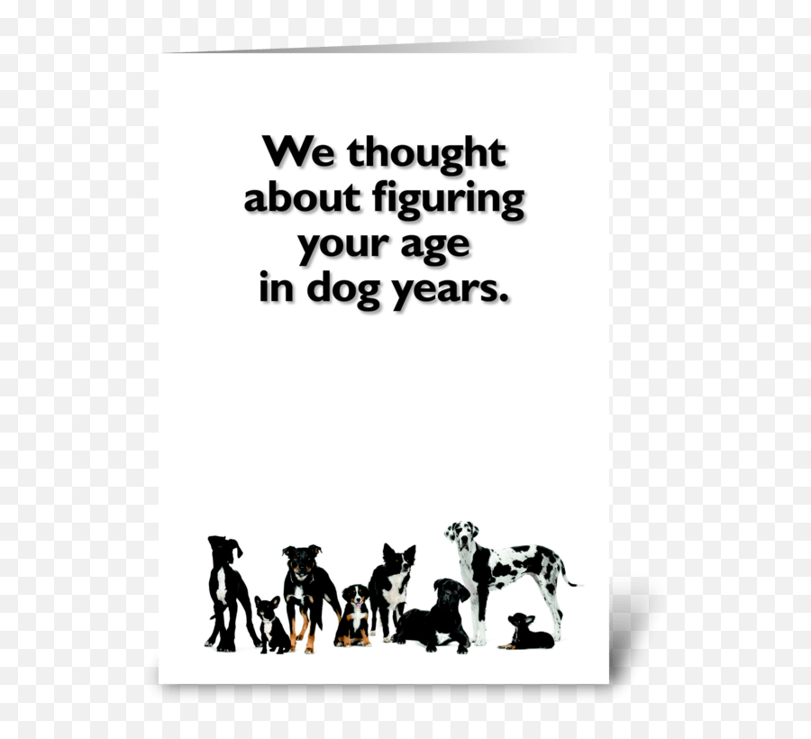 happy-birthday-wishes-animal-lover-love-quotes-dog-lover-birthday