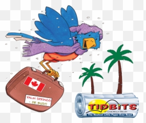 Download Snowbird Cartoon Drawing Free - Snowbird Cartoon Emoji,Emoticon Snowbirds