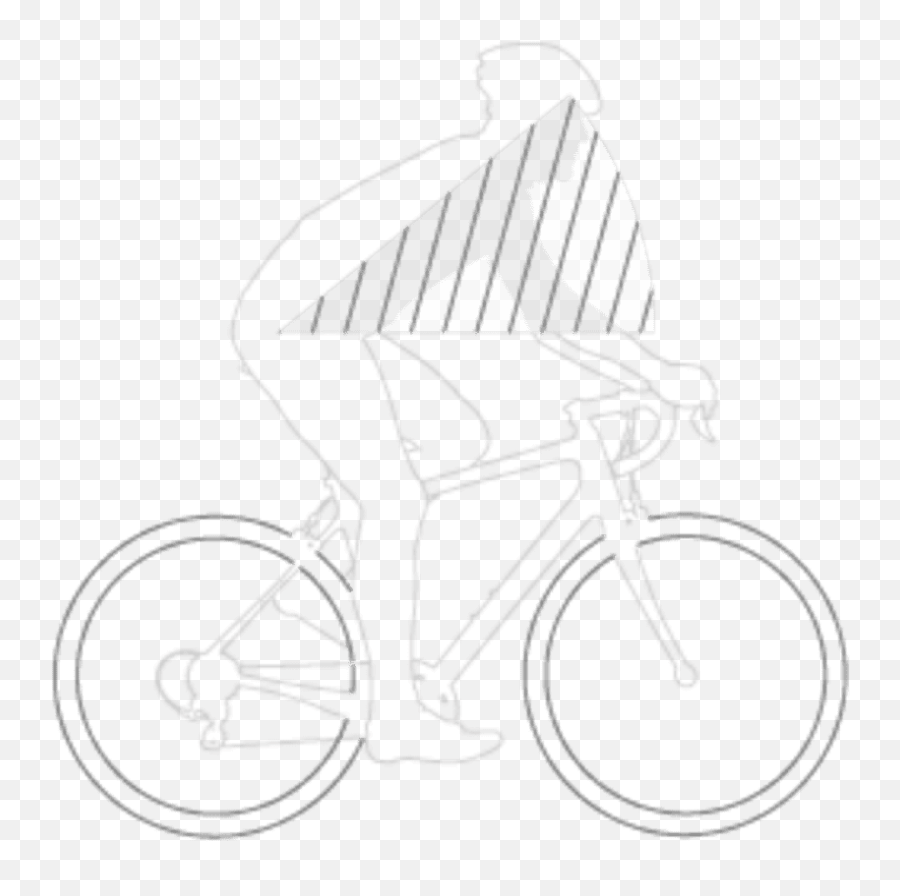 Fast Easy And With Style Road And Cyclo - Cross Bikes Road Bicycle Emoji,Emotion Easy Go Race Ebike