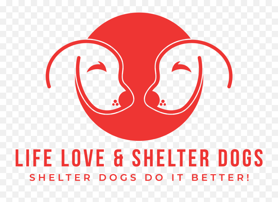 What To Do When Youu0027re Attached To Your Foster Dog - Life Emoji,Dog Emotions In Shelters