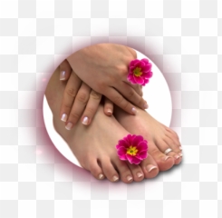 Manicure Png Nails Clipart Images Free - Pedicure And Manicure Logo Emoji,Emoji Pedicure