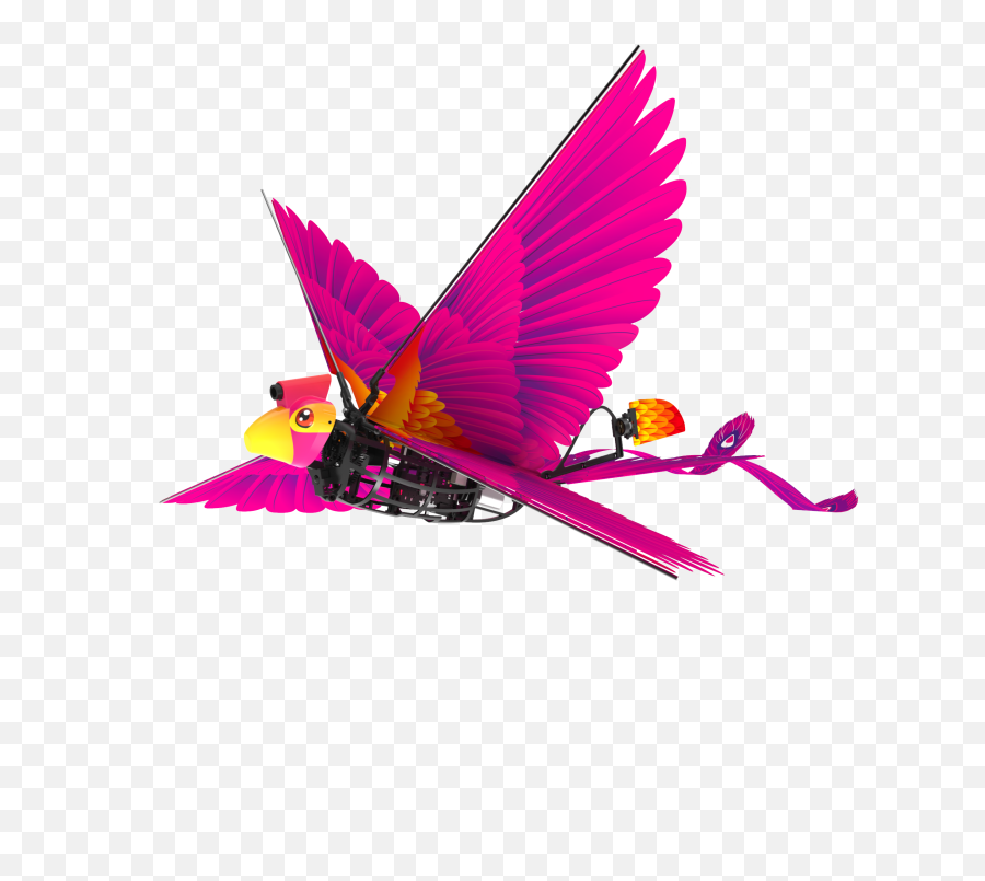 China Flying Bird China Flying Bird Manufacturers And - Robot Burung Png Emoji,Denko Emoticon