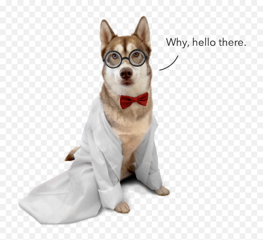 Citizen Science Its All About - Husky Scientist Emoji,Human Emotions On Animals