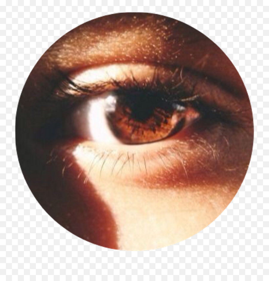 Brown Eyes Tumblr - Aesthetic Brown Emoji,Brown Eye Emoji