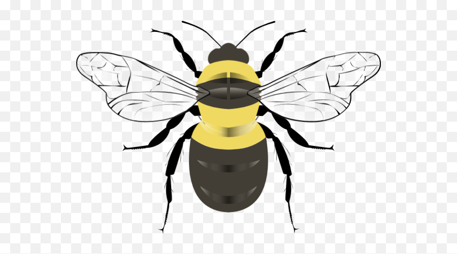 Free Creatures Clip Art U0026 Customized Illustration Fotor - Parasitism Emoji,Honey Pig Lion Emoji