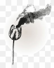 The Arabic Alphabet A Guided Tour - Ta Sketch Emoji,Wan Smile Emoticon