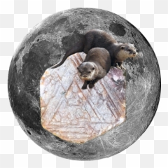 Gigi News U2013 Tagged Full Moon Metaphysical U2013 Gigi Moon - Full Moon Emoji,Effects Of Full Moon On Emotions