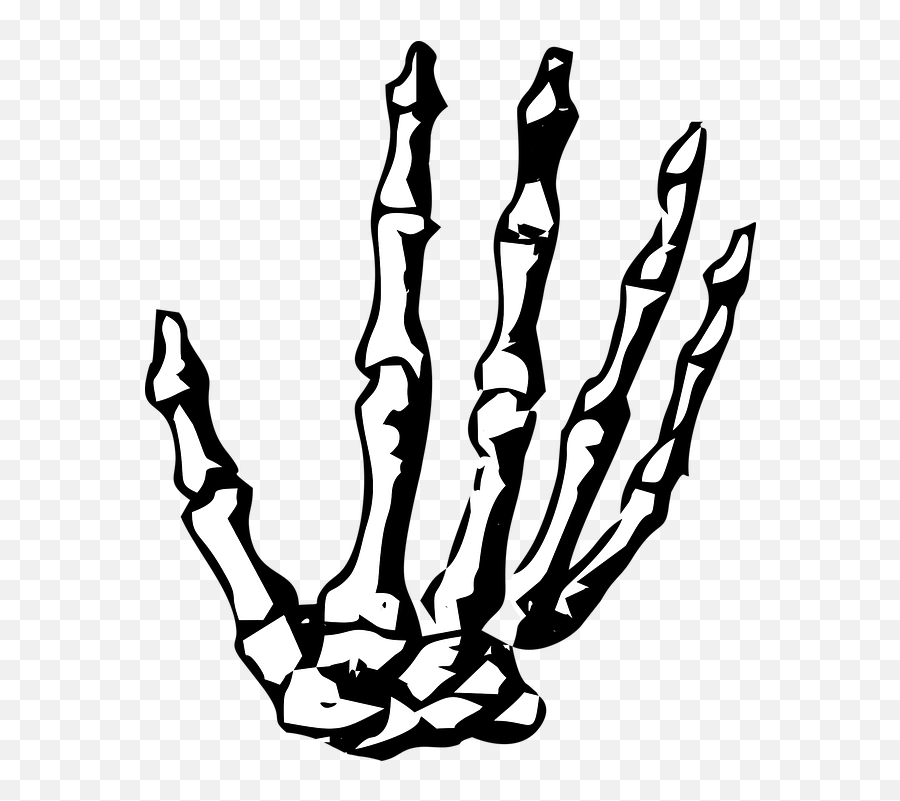 Skeleton Hand No Background Clipart - Skeleton Hand Png Emoji,Thumbs Up Skelliton Emoji