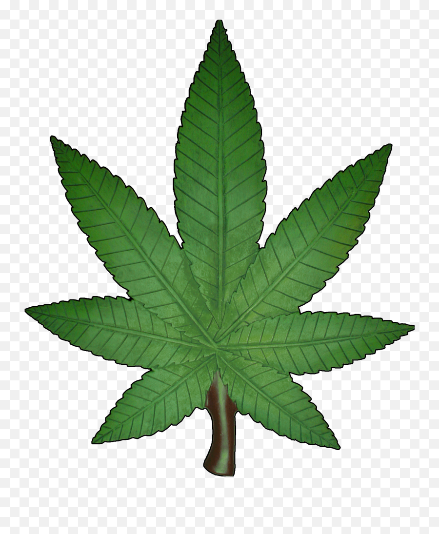 Marijuana Weed Cannabis Leaf Png - Marijuana Transparent Hd Emoji,Weed Leaf Emoji
