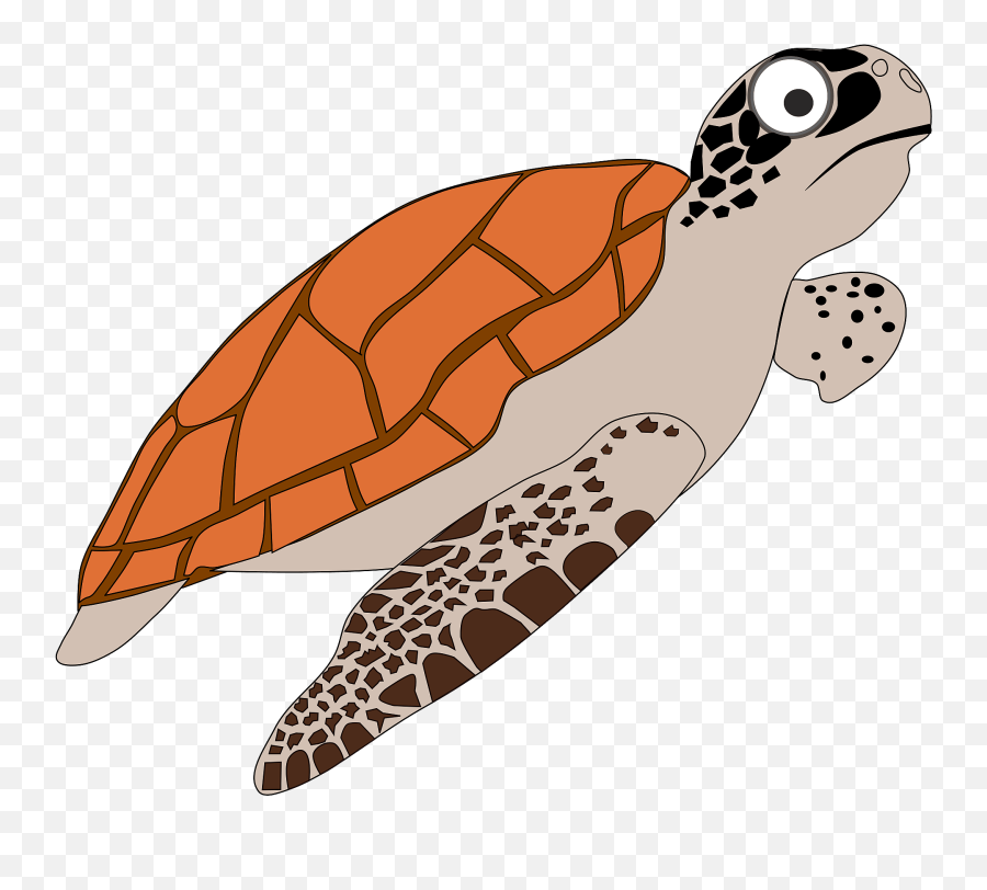 Turtle Clipart - Loggerhead Sea Turtle Clipart Emoji,Turtle Shell Emoji