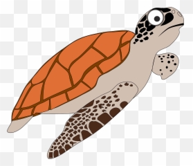 Turtle Clipart - Loggerhead Sea Turtle Clipart Emoji,Turtle Shell Emoji