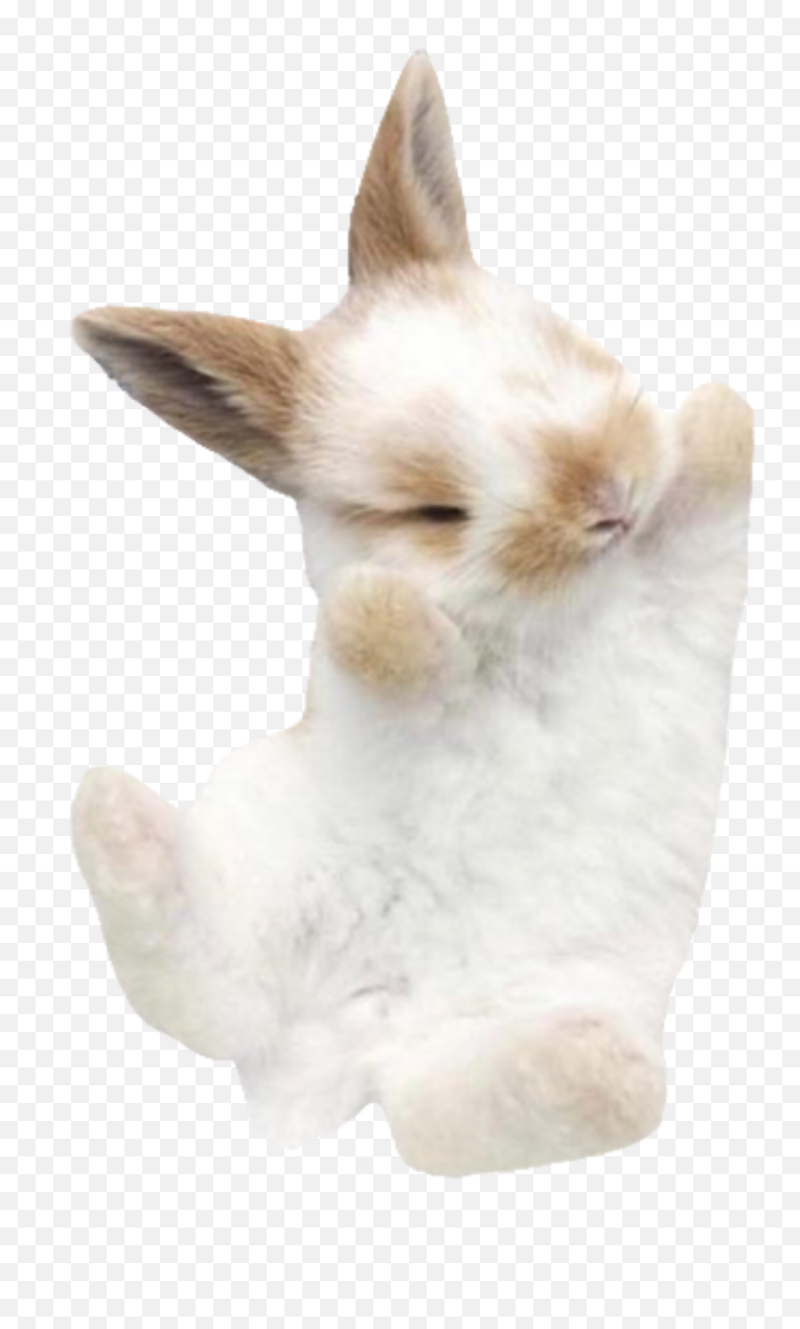 The Most Edited Cutebunny Picsart - Soft Emoji,Emoticon Rabbit Plush