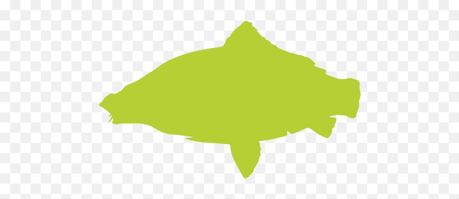 The Carp Angleru0027s Glossary What We Really Mean U2014 Carpfeed - Fish Emoji,Fish Hook Emoji